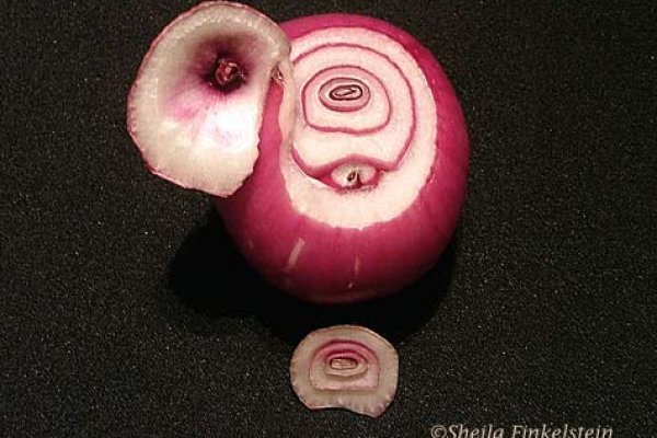 Kraken onion darknet zerkalo