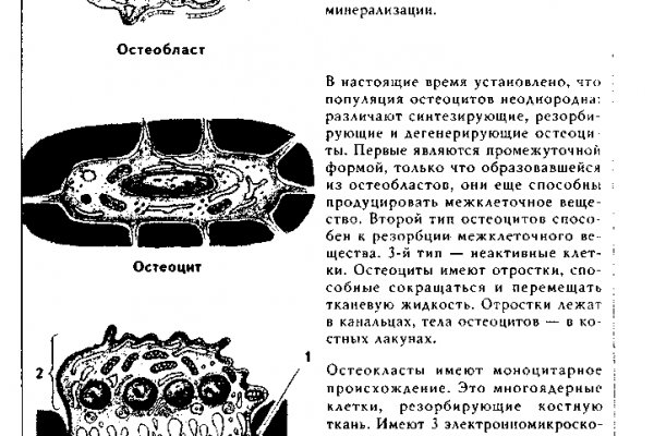 Зайти на кракен без тора