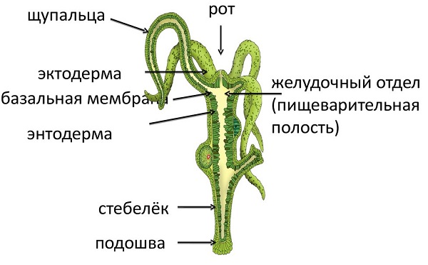 2krn at что такое