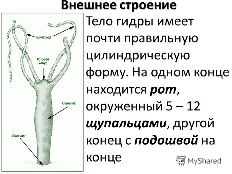 Как пополнить баланс кракен